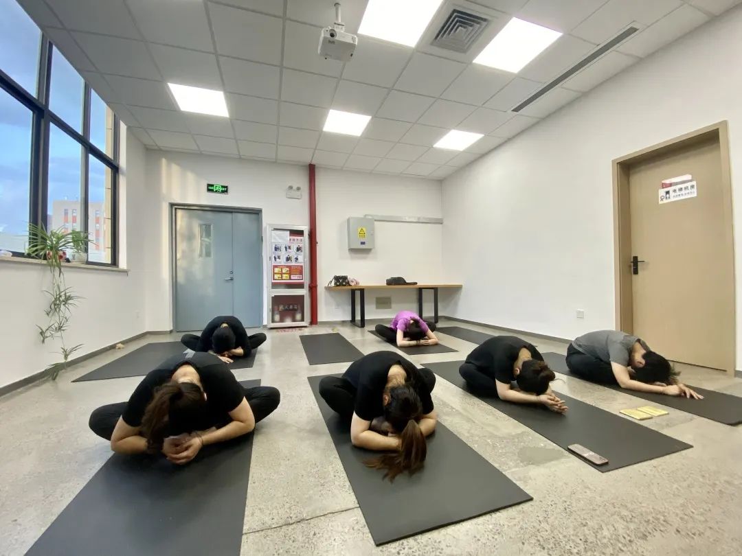 夏日炎炎， 中泰“瑜”你攜手同行